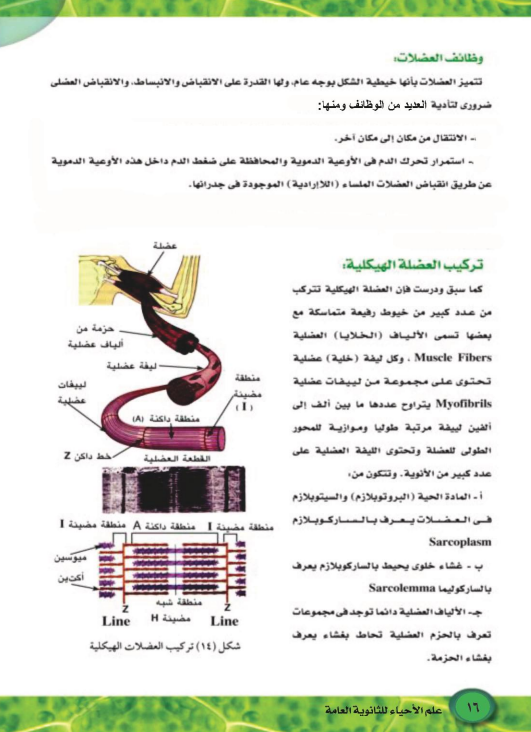شرح الدرس الاول احياء9 شرح الدرس الاول احياء9